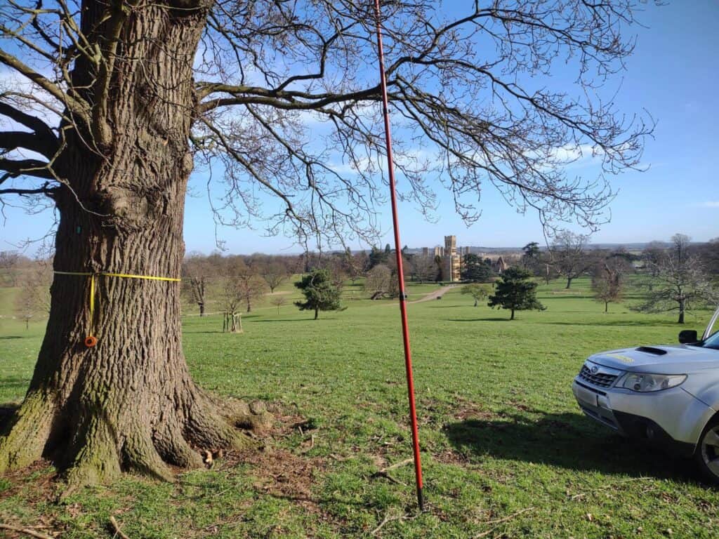 An estate tree survey in progress